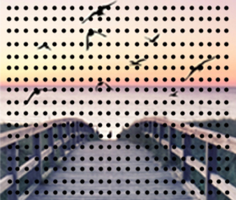 Folia One Way Vision